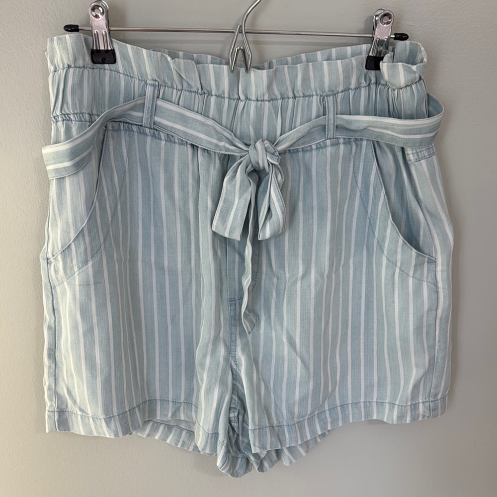 NWT Striped Light Blue Women's Shorts from Dry Goods